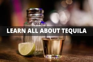 Five Things You Should Know About Tequila