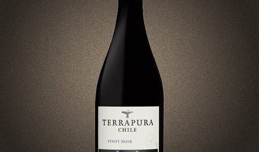 Terrapura Organic Chilean Pinot Noir